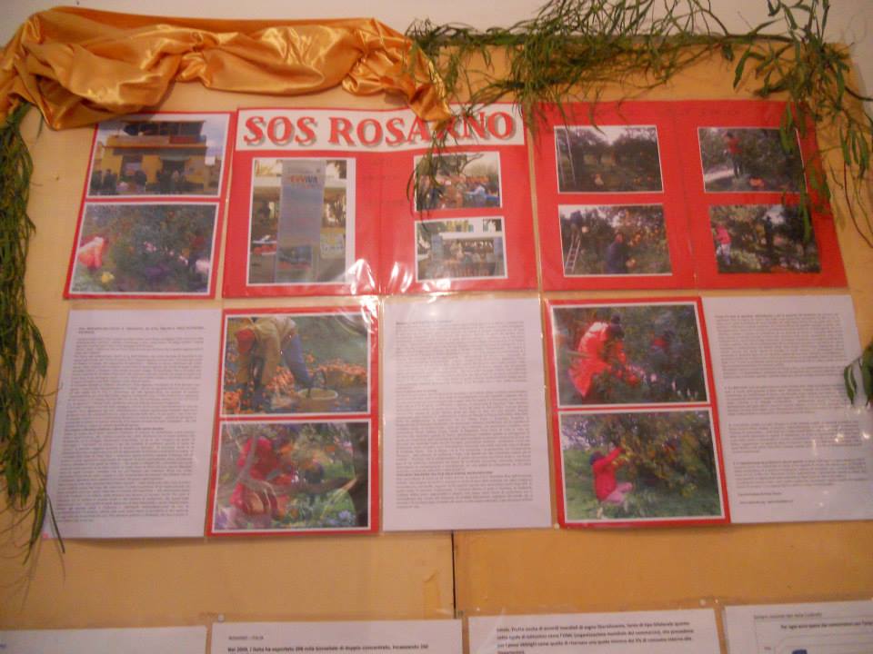 InCanto Dal Mare, simula Tutti sovra un Stessa Barca, Ponti Pialesi e INTERESSE Pubblico un Sostegno dell'associazione AfriCalabria di Rosarno